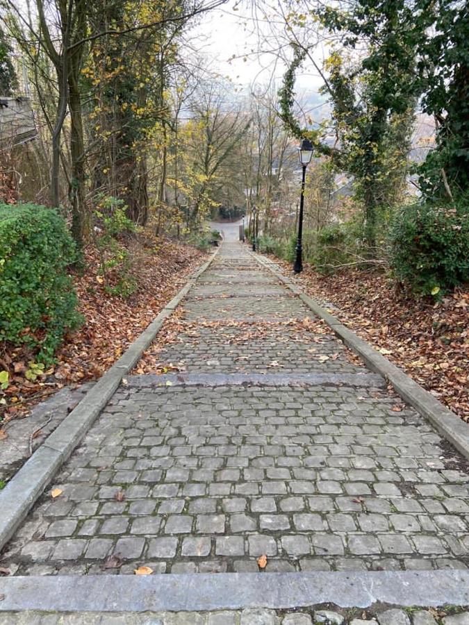 Vakantiewoning De Kassei Geraardsbergen Max 12Personen Eksteriør bilde