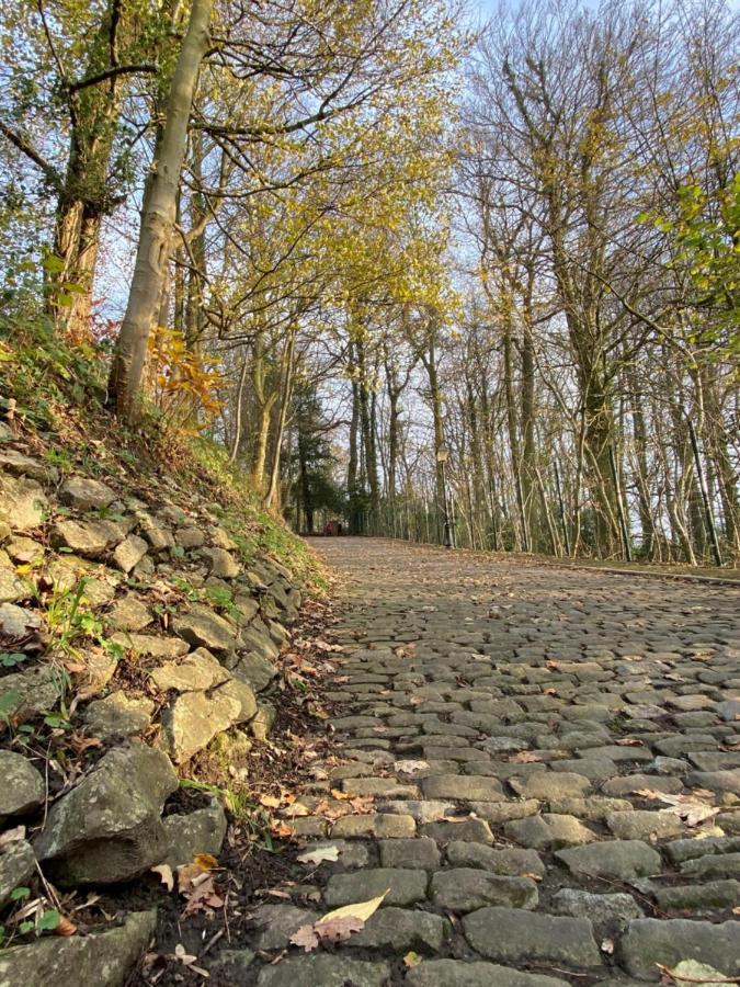 Vakantiewoning De Kassei Geraardsbergen Max 12Personen Eksteriør bilde